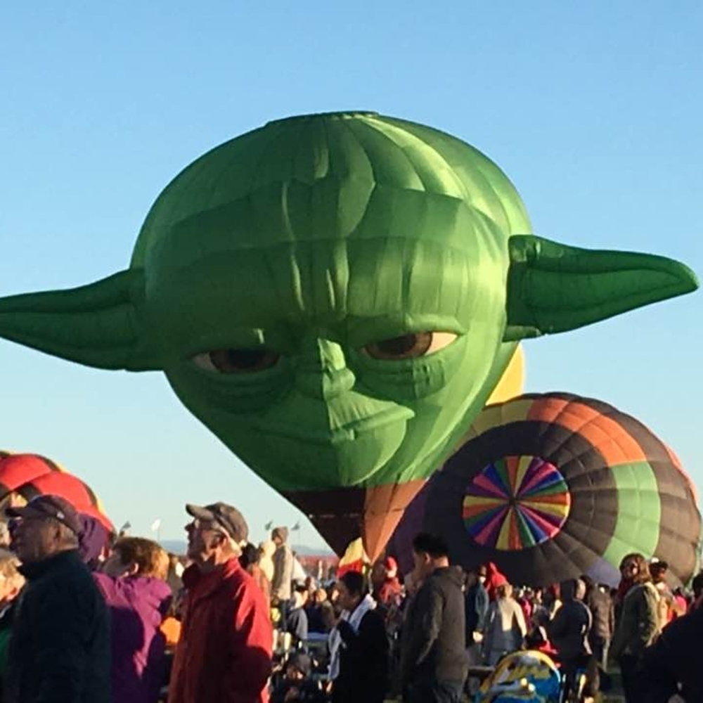 Meet your Posher, Debbie